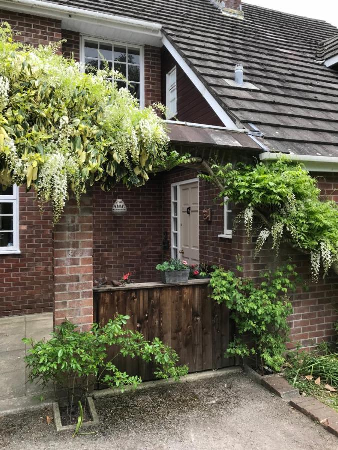High Mead Bed & Breakfast Woodsford Bagian luar foto